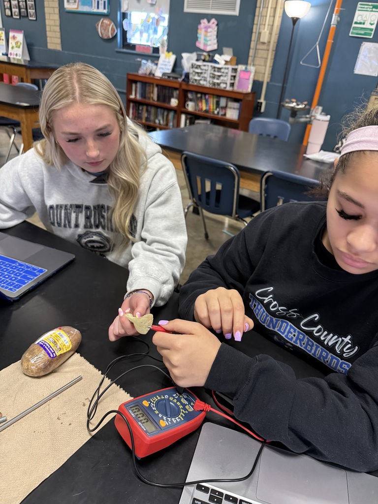 Students with potatoes
