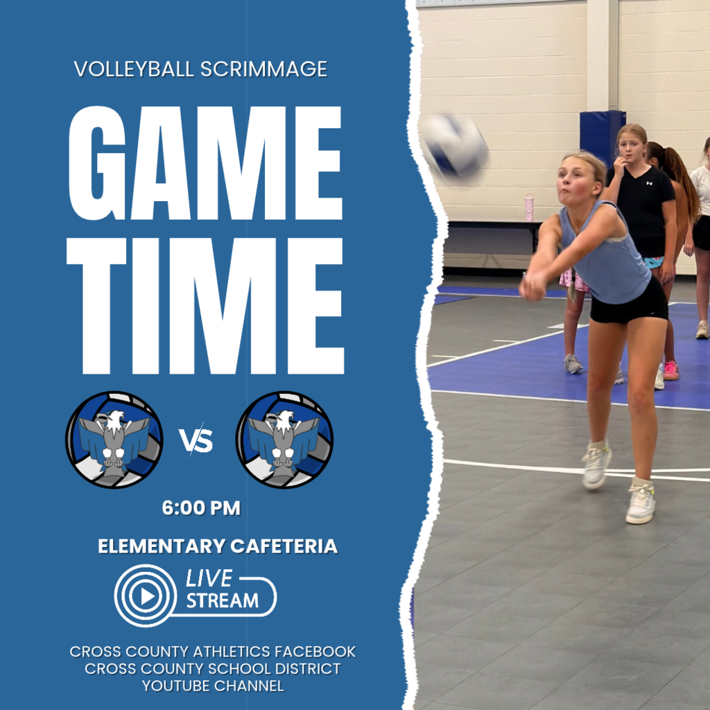 Volleyball Graphic