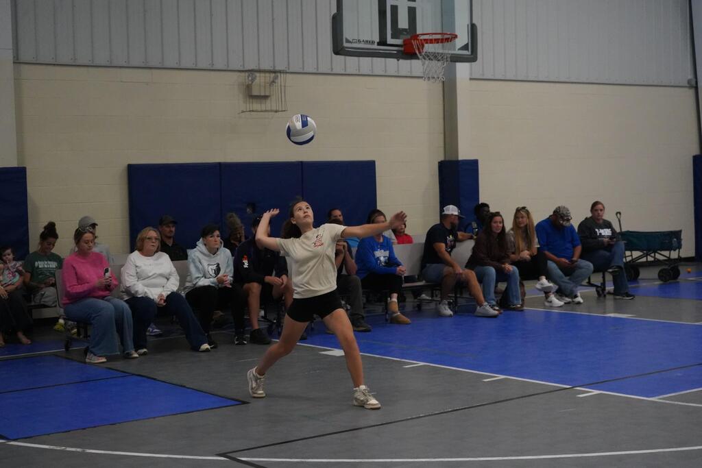 Volleyball