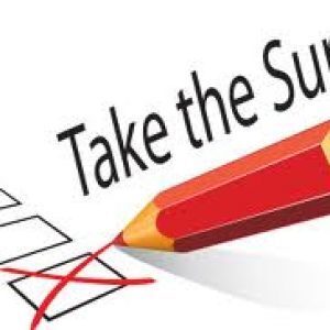 Survey TitleI