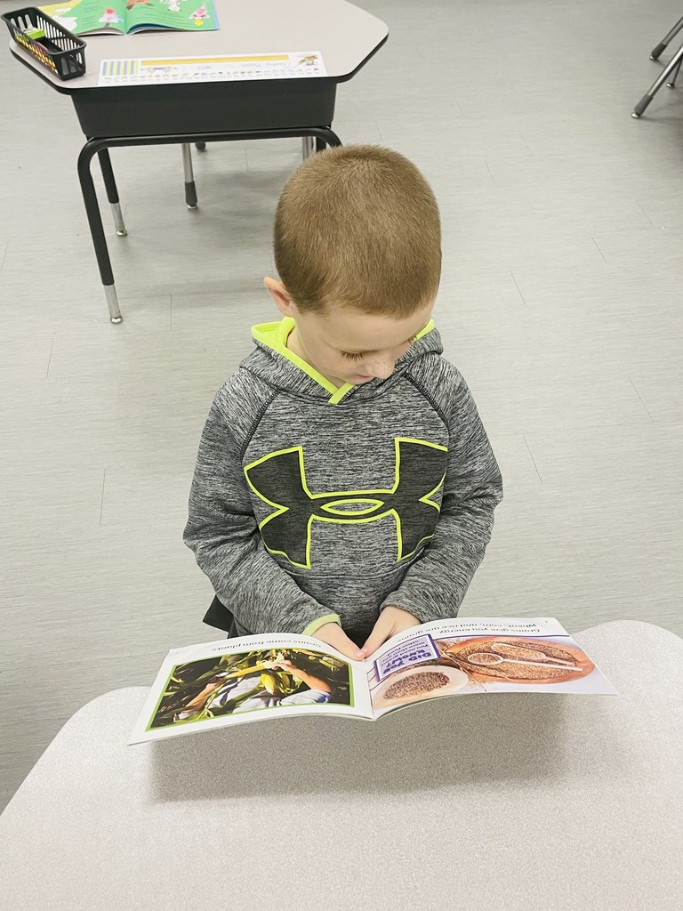 reading