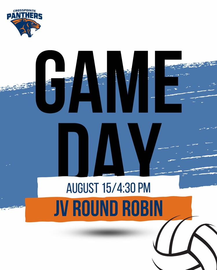 volleyball graphic