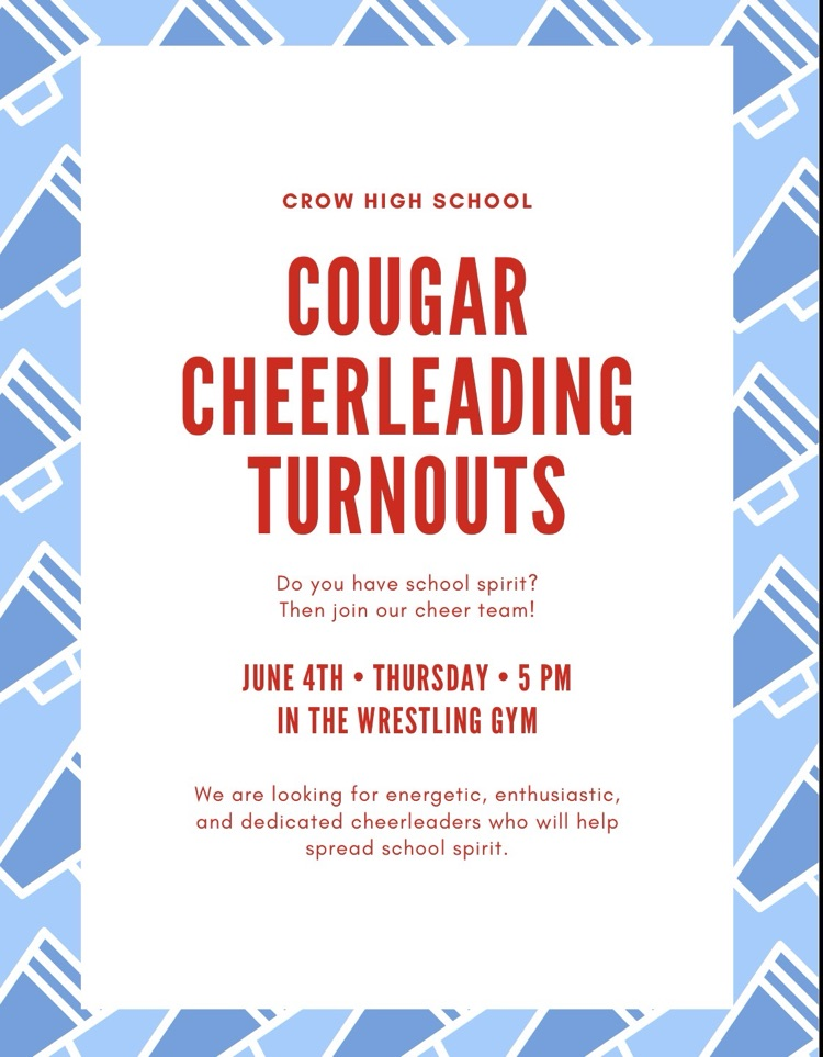 try out flyer
