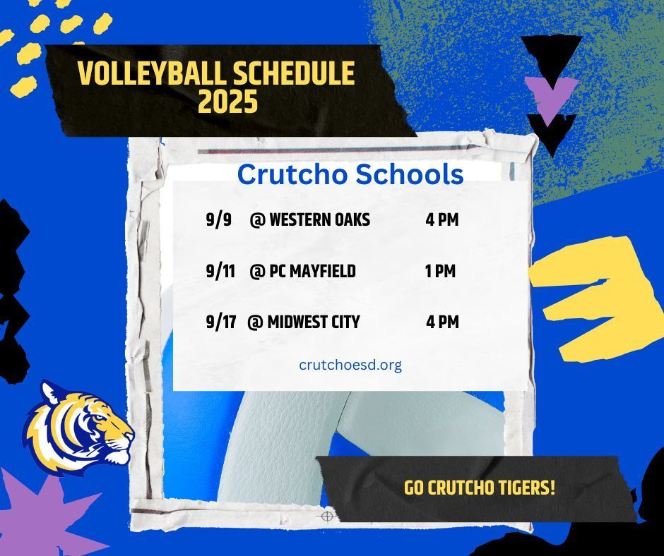 Volleyball 2025
