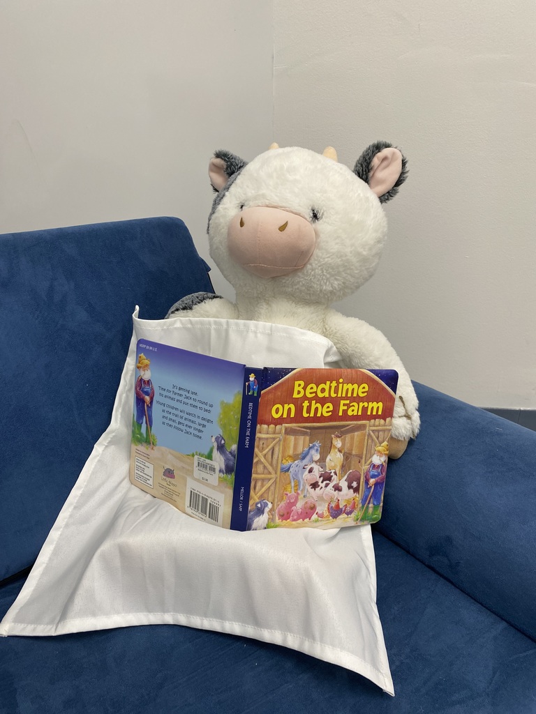 Stuffed Animal Sleepover