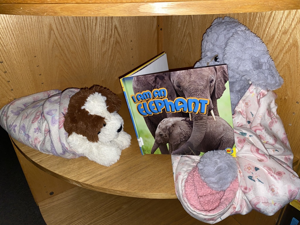 Stuffed Animal Sleepover