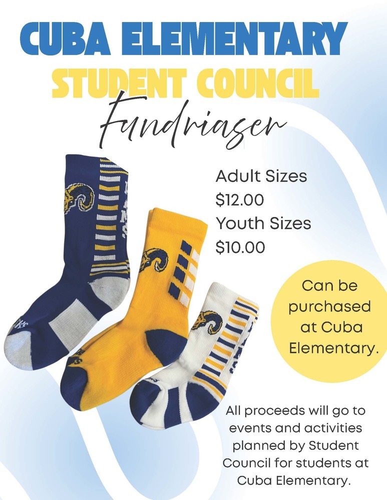 CISD Elementary Socks Fundraiser