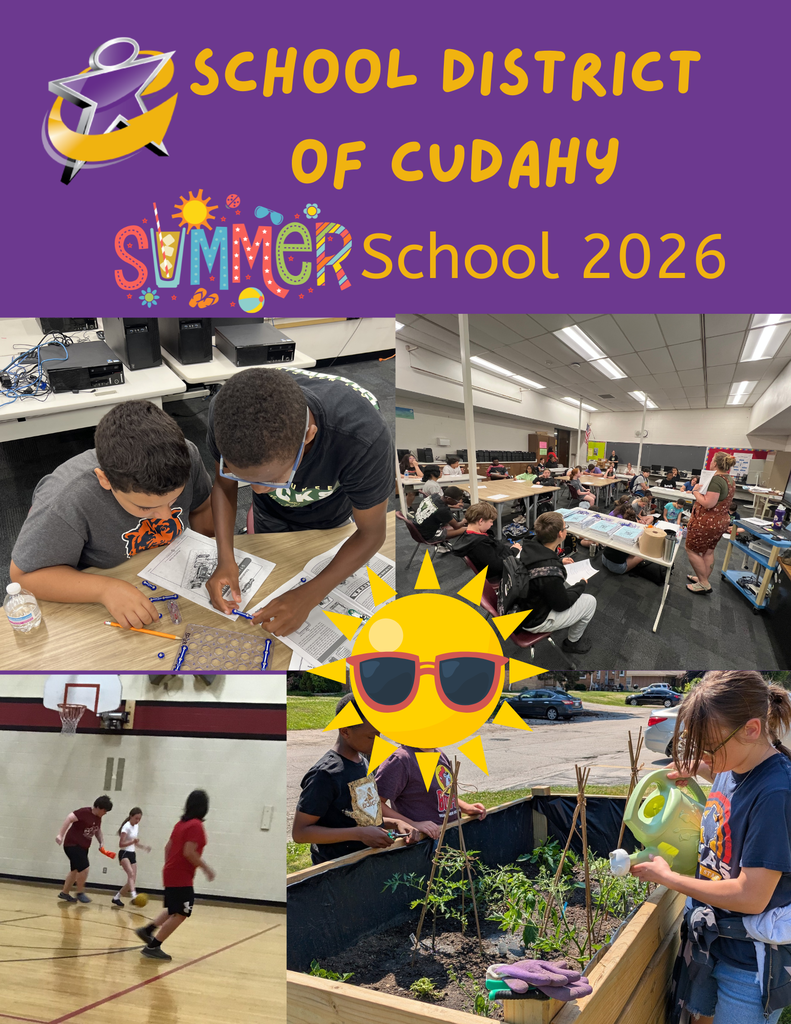 Summer school flyer