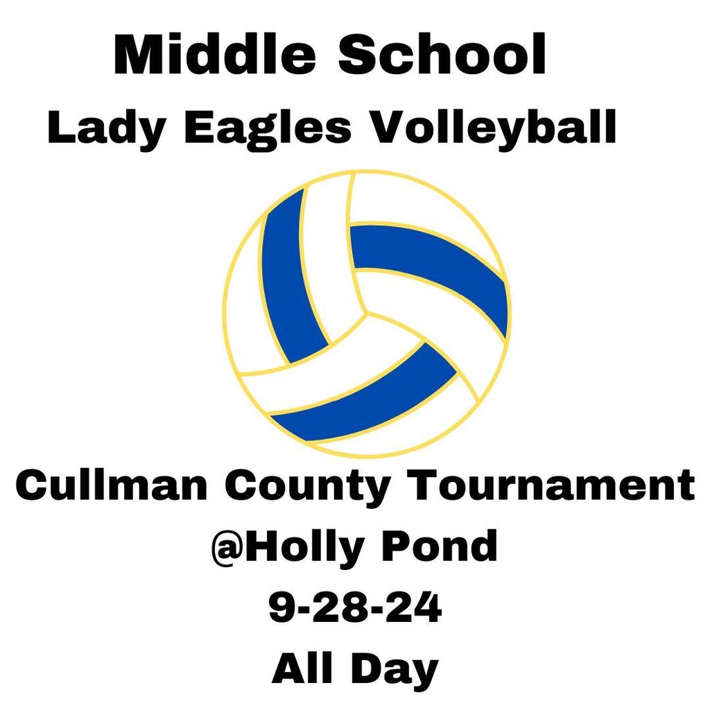 vball game