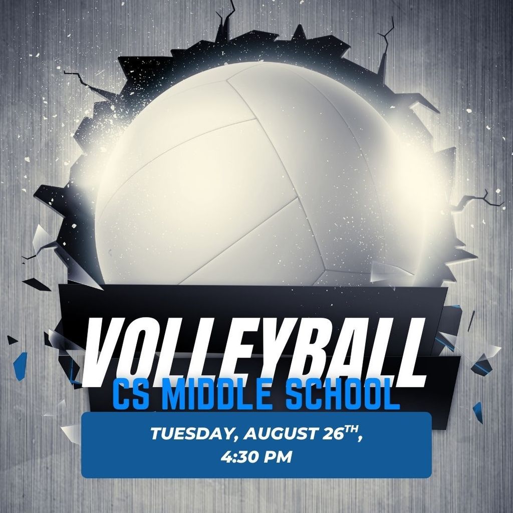 volleyball game