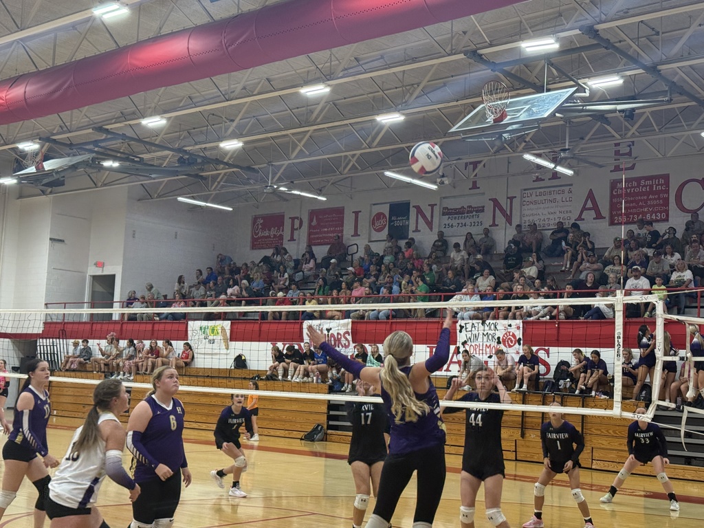 JV Action 2