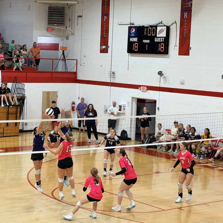volleyball