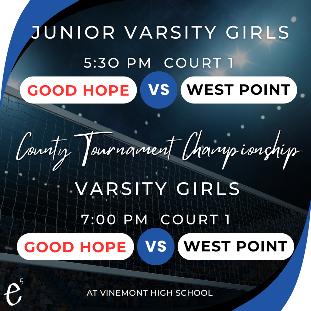 Volleyball Finals