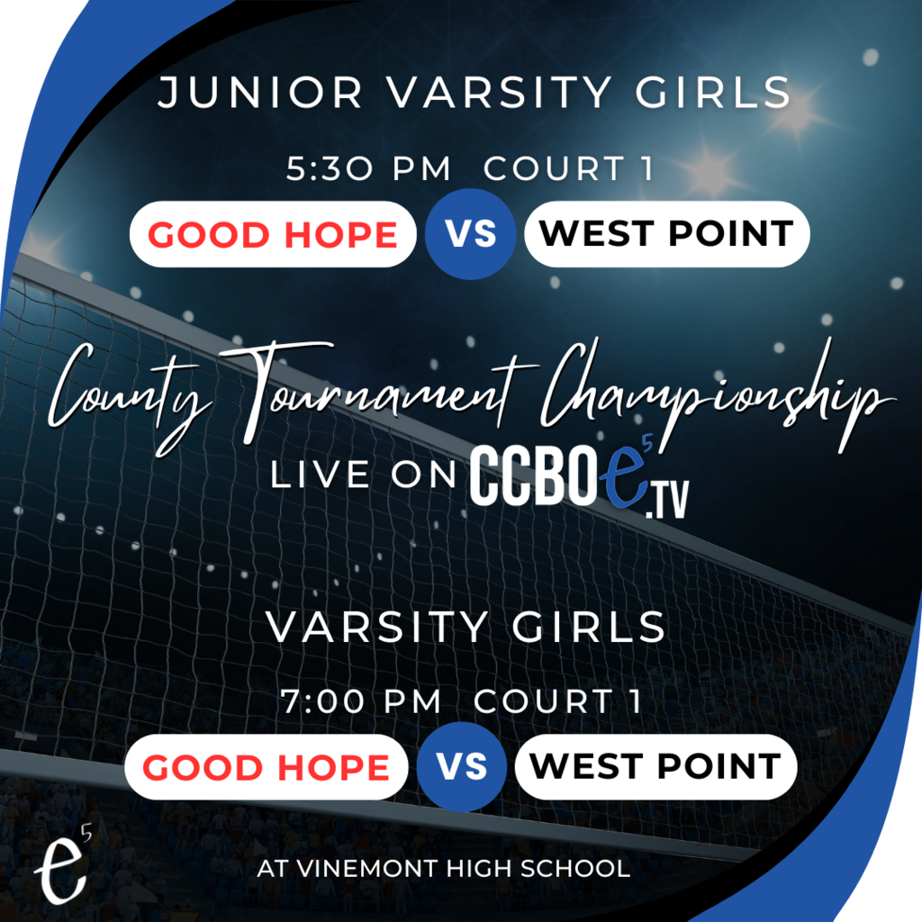 Volleyball Finals