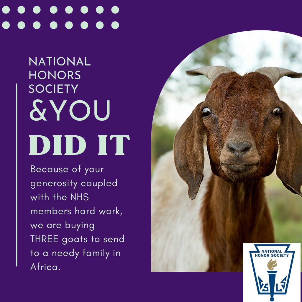 NHS and our community are buying three goats to a needy family in Africa.