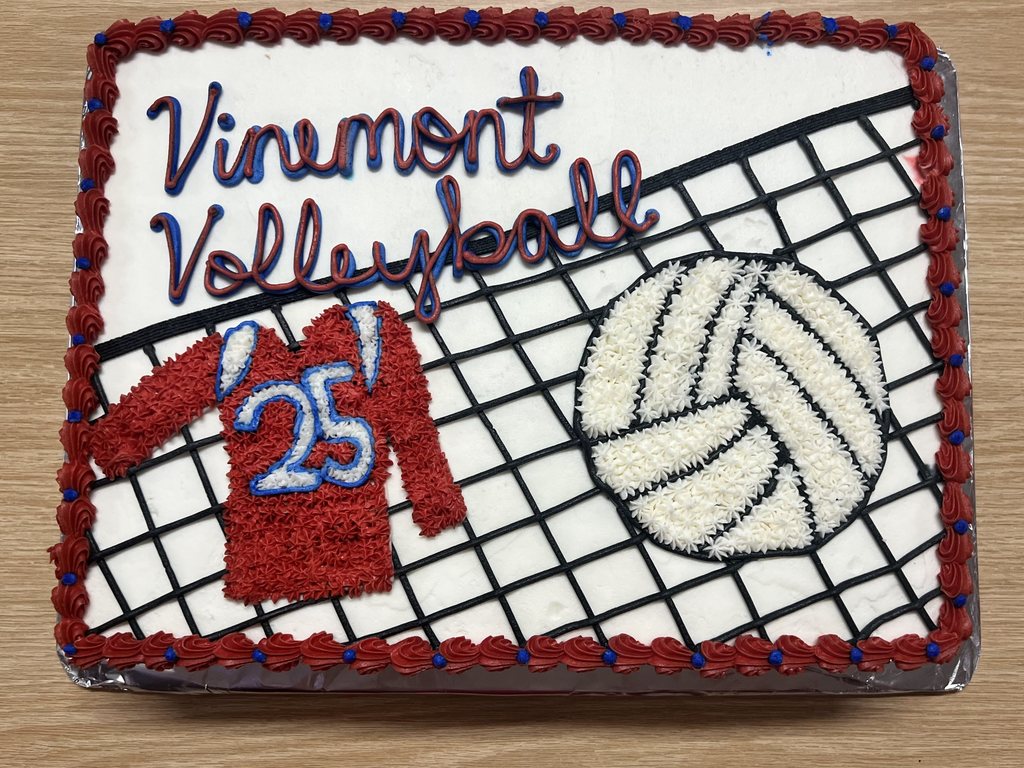 Volleyball cake