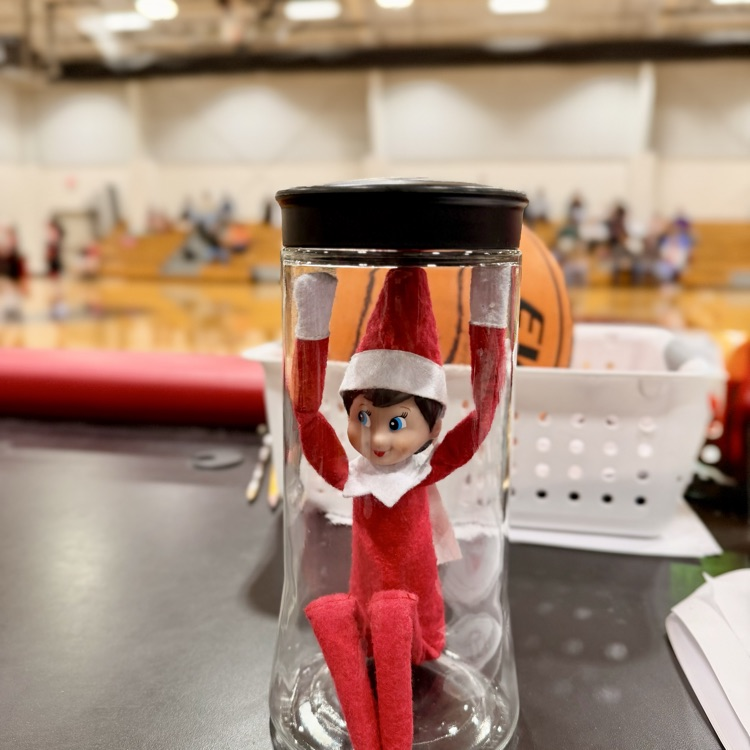 jingles watching Basketball