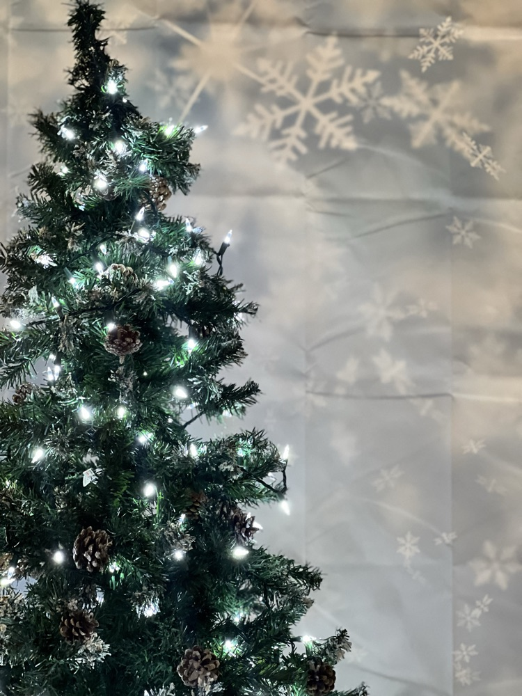 Midwinter Masquerade