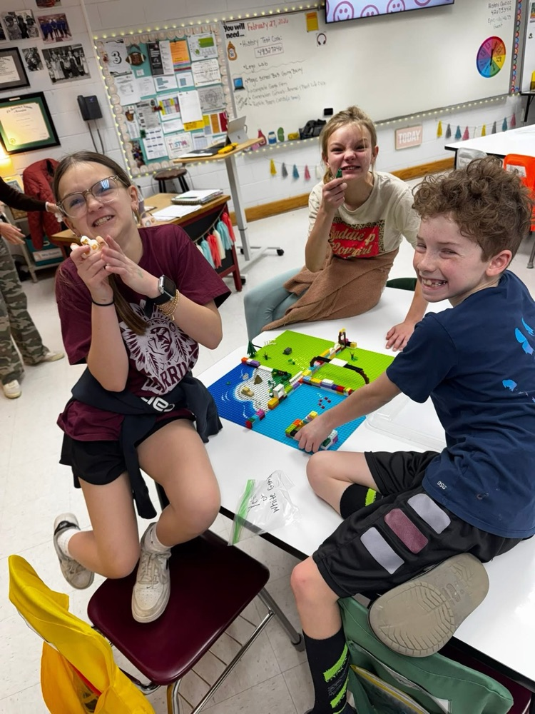 Application of habitats and biomes in 4th science. Lots of good conversations and creativity!