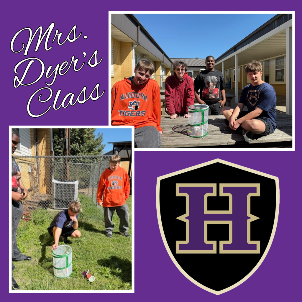 Mrs. Dyer's Class studied the life cycle of the butterfly Spring 26.