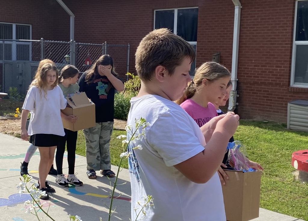 Setting up the solar ovens