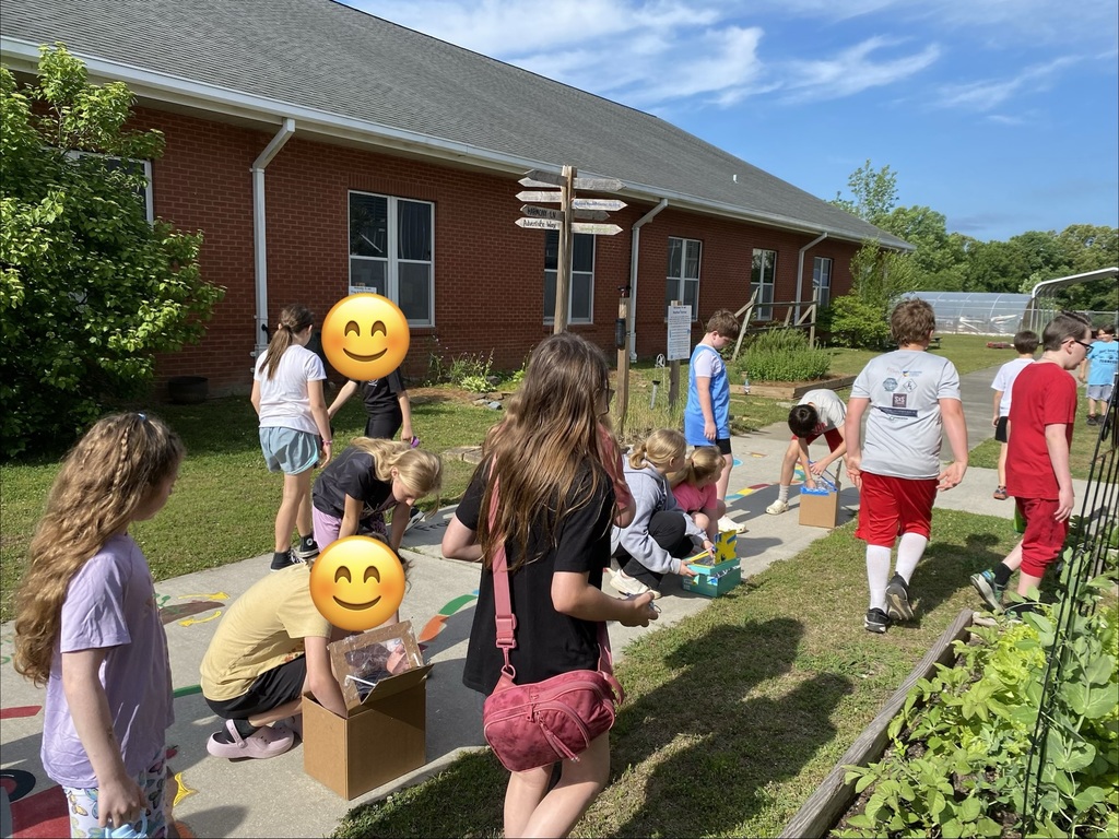 Setting up the solar ovens