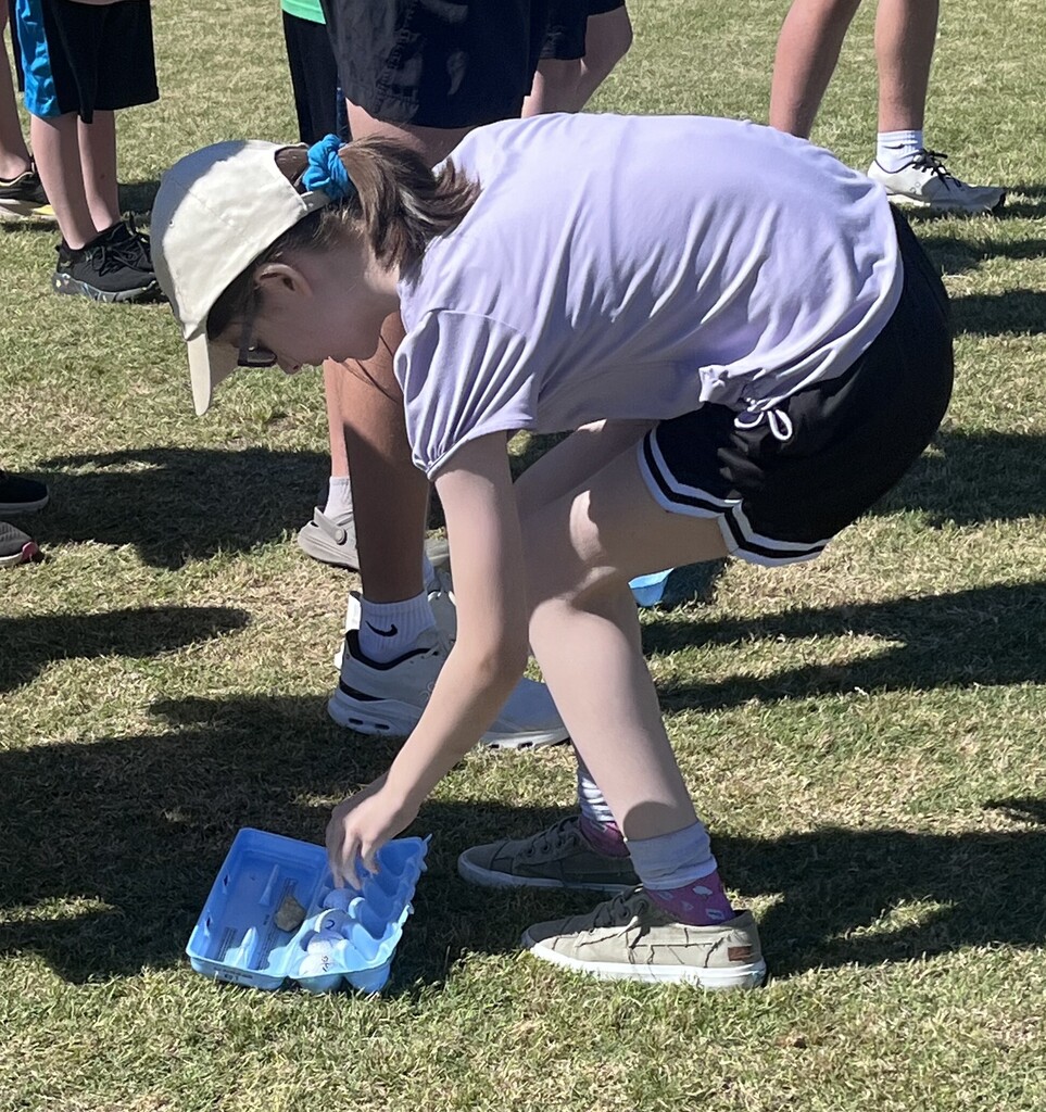 Field Day 2026