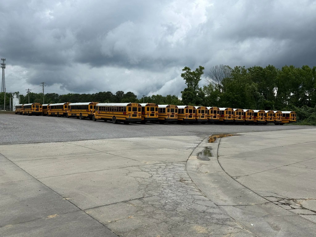 Buses