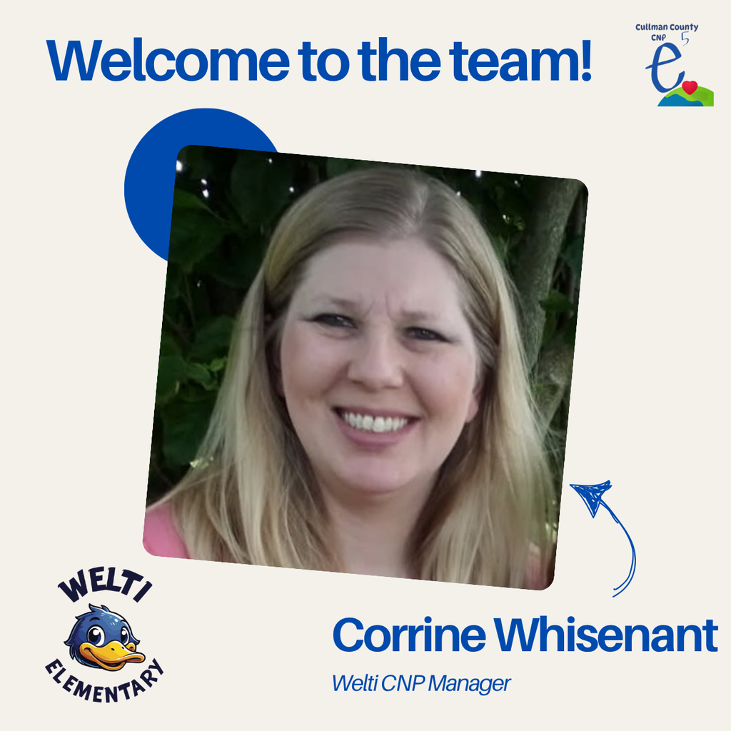 CNP Manager at Welti
