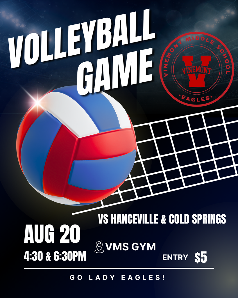 An advertisement for a volleyball game featuring a ball with red, white, and blue sections.