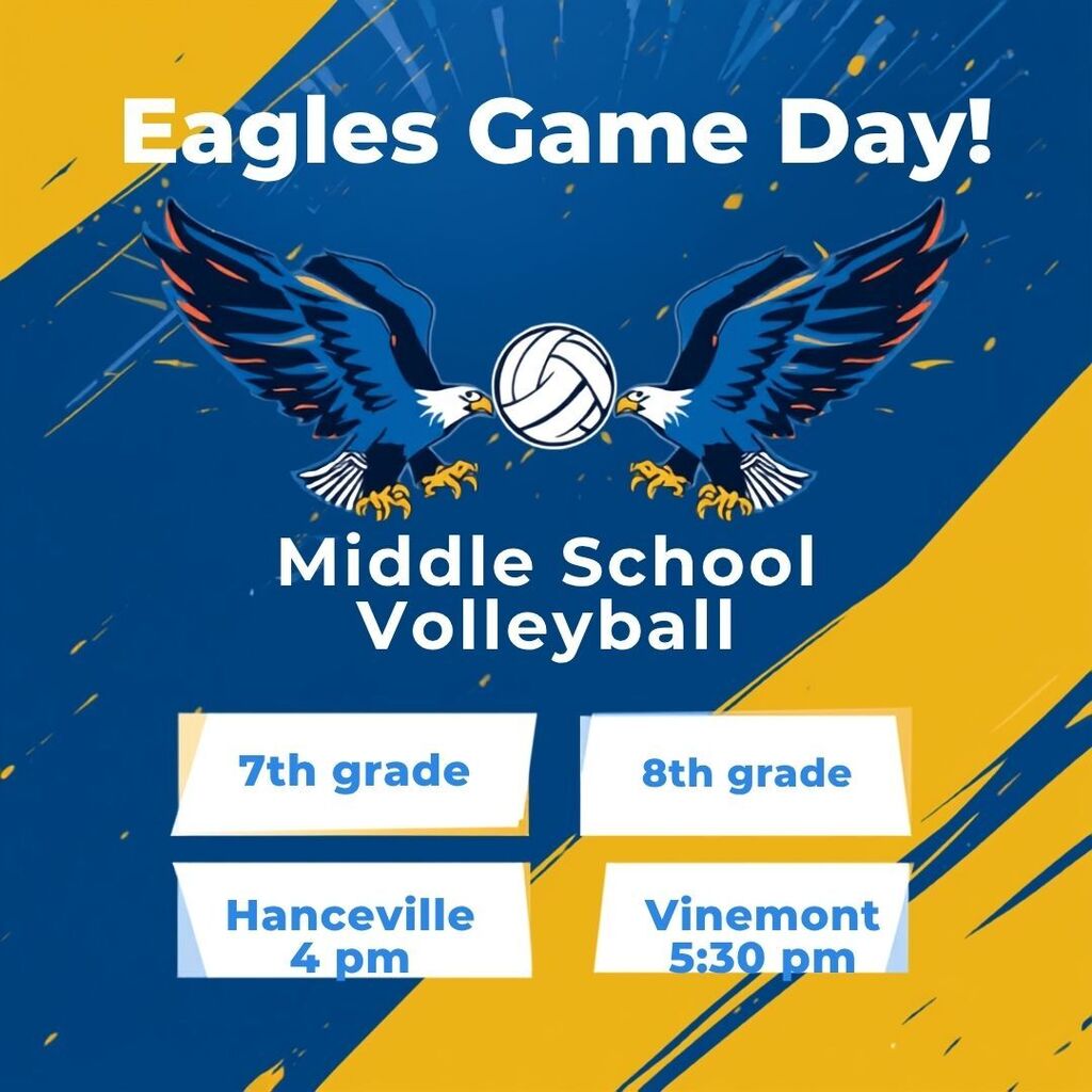 Volleyball game day