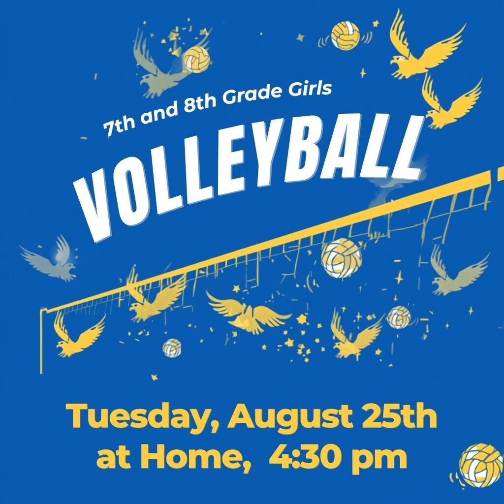 Volleyball game 