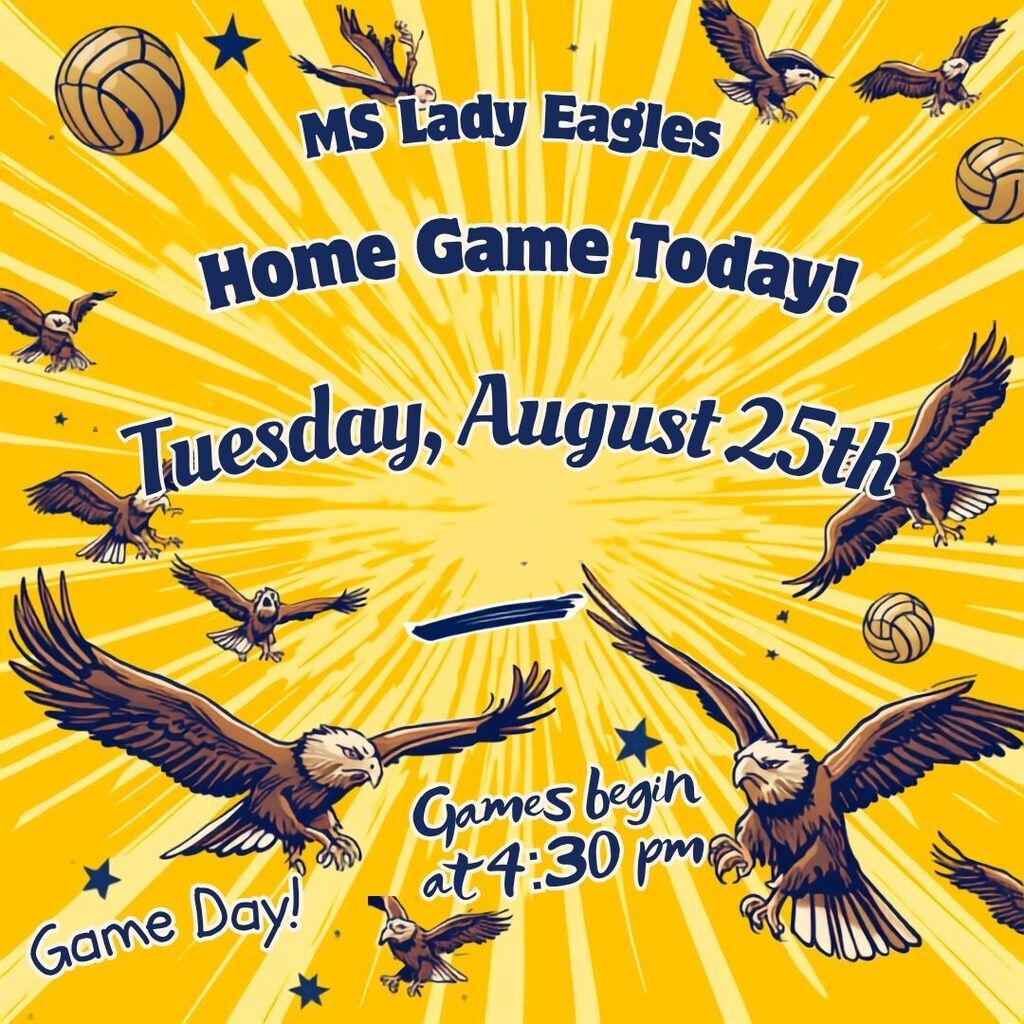 Volleyball game day