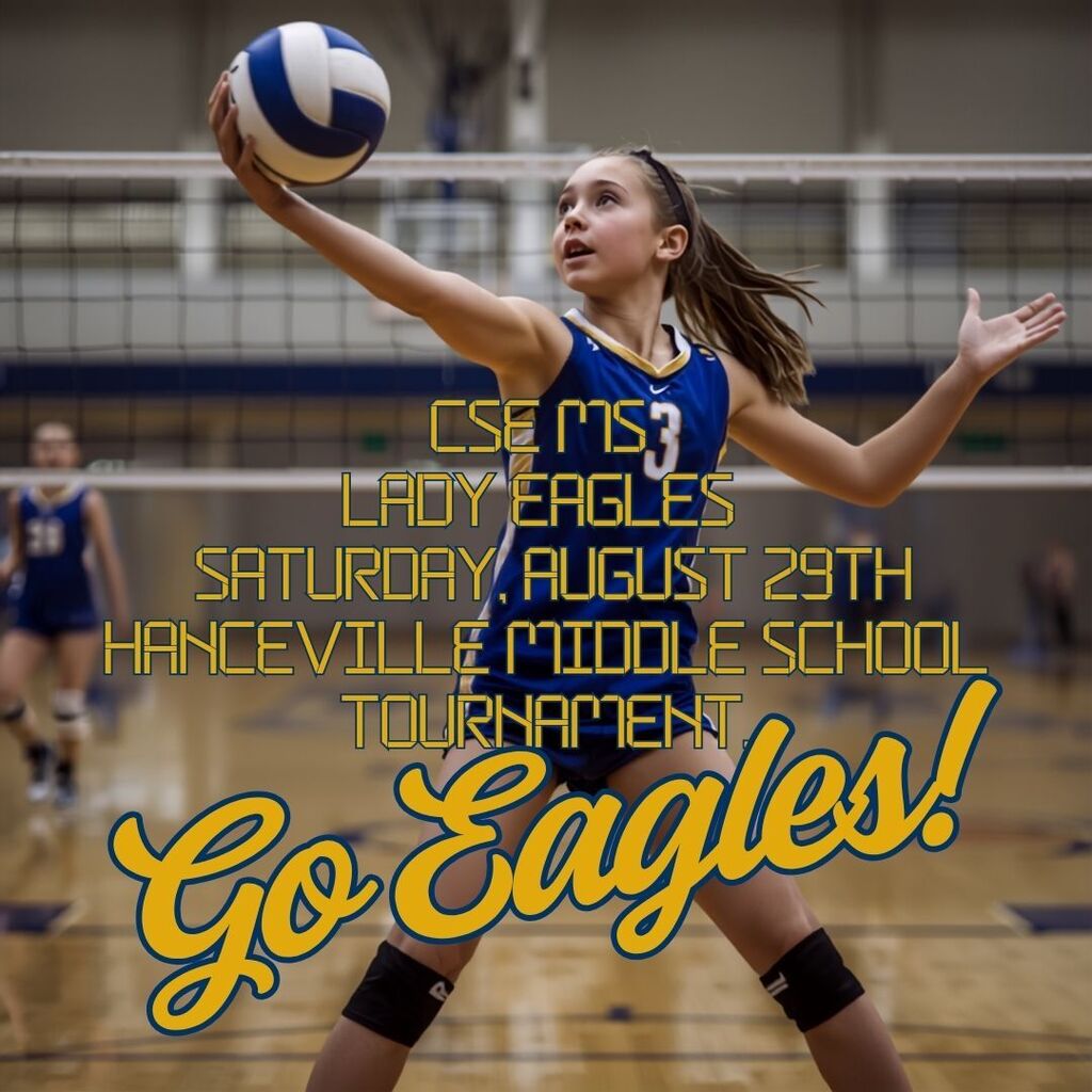 volleyball tournament