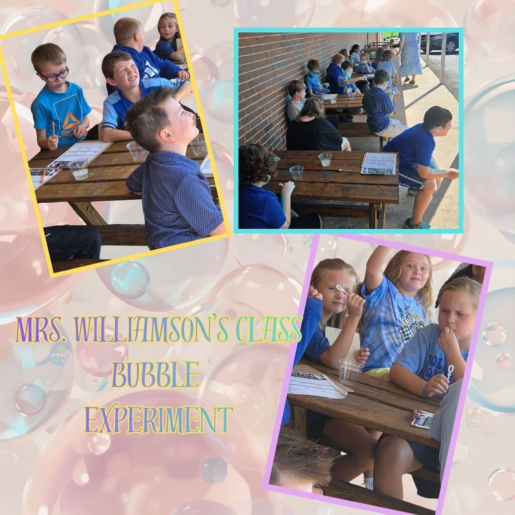 3rd Grade bubble experiment