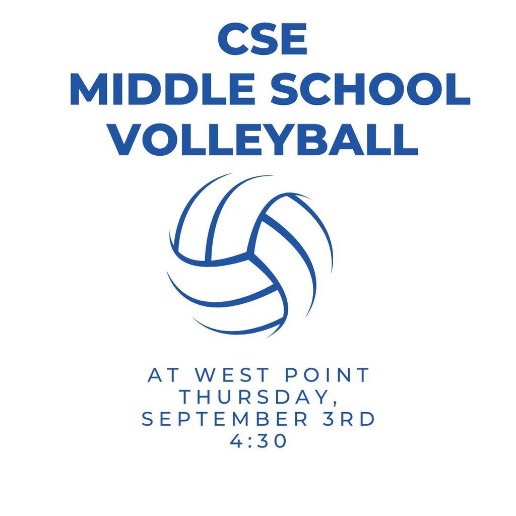 Volleyball game 