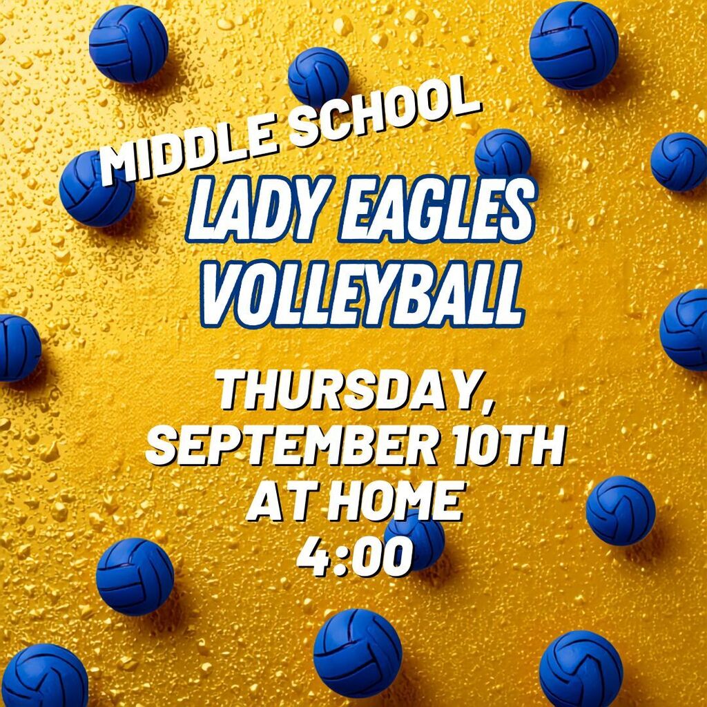Volleyball game 