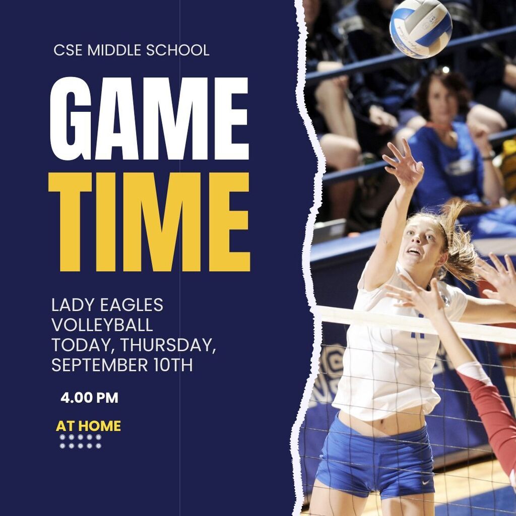 Volleyball game day