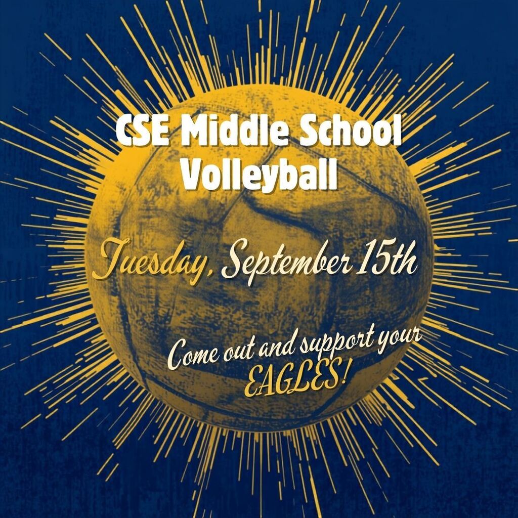 Volleyball game 