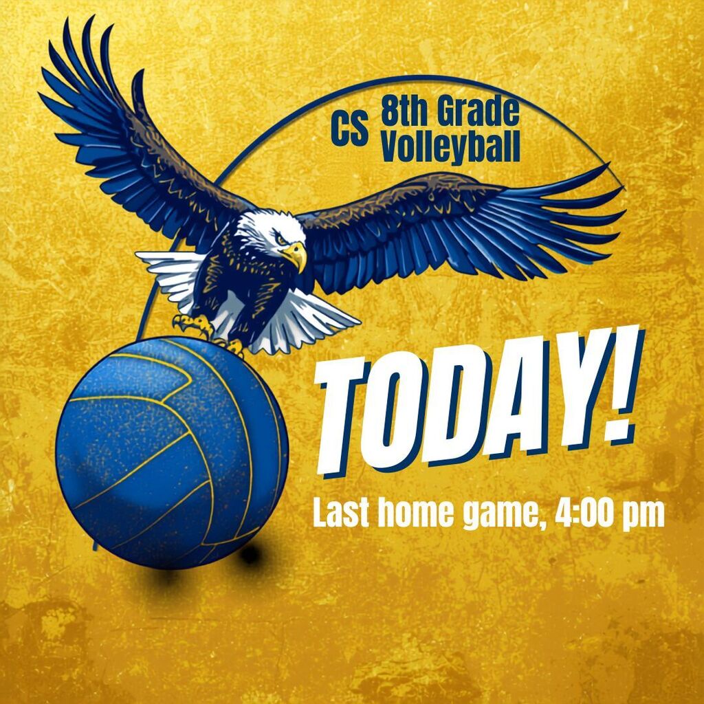 Volleyball game day