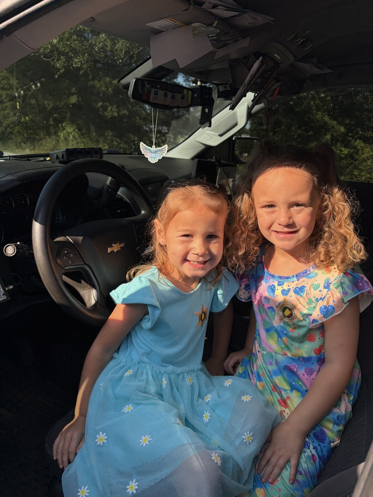 Two young girls, one in a blue dress and the other in a multicolored dress, sitting in a car.