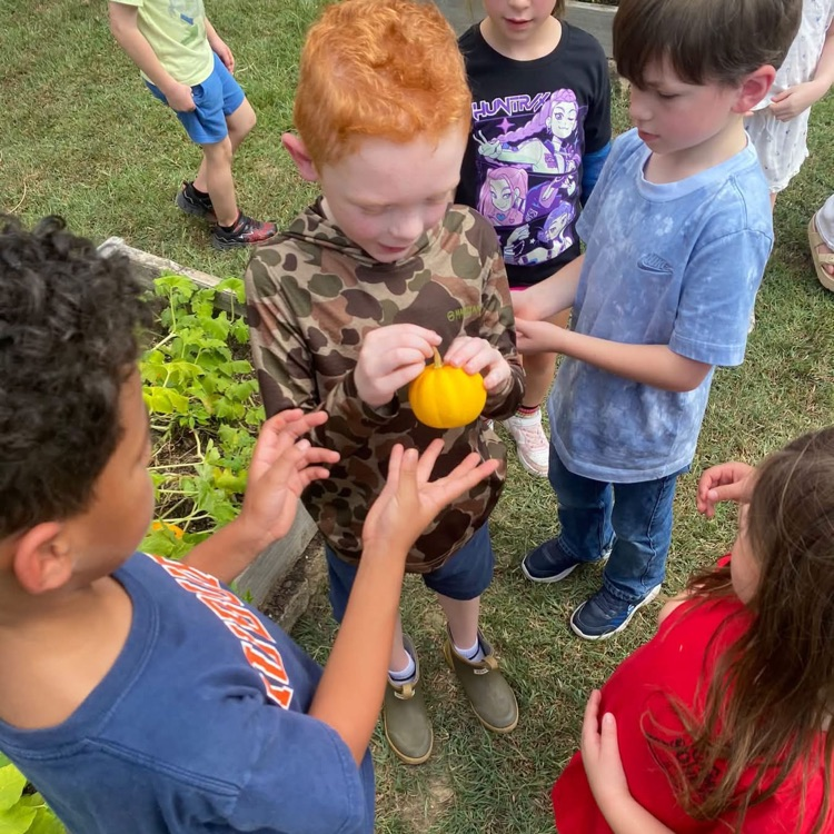 Habitat Learning Lab