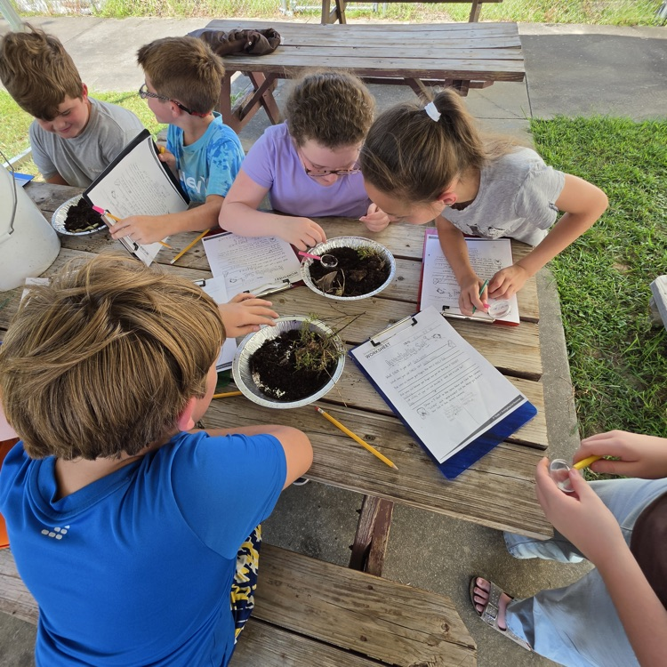 outdoor classroom