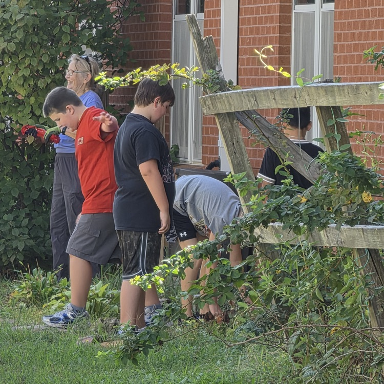 outdoor classroom