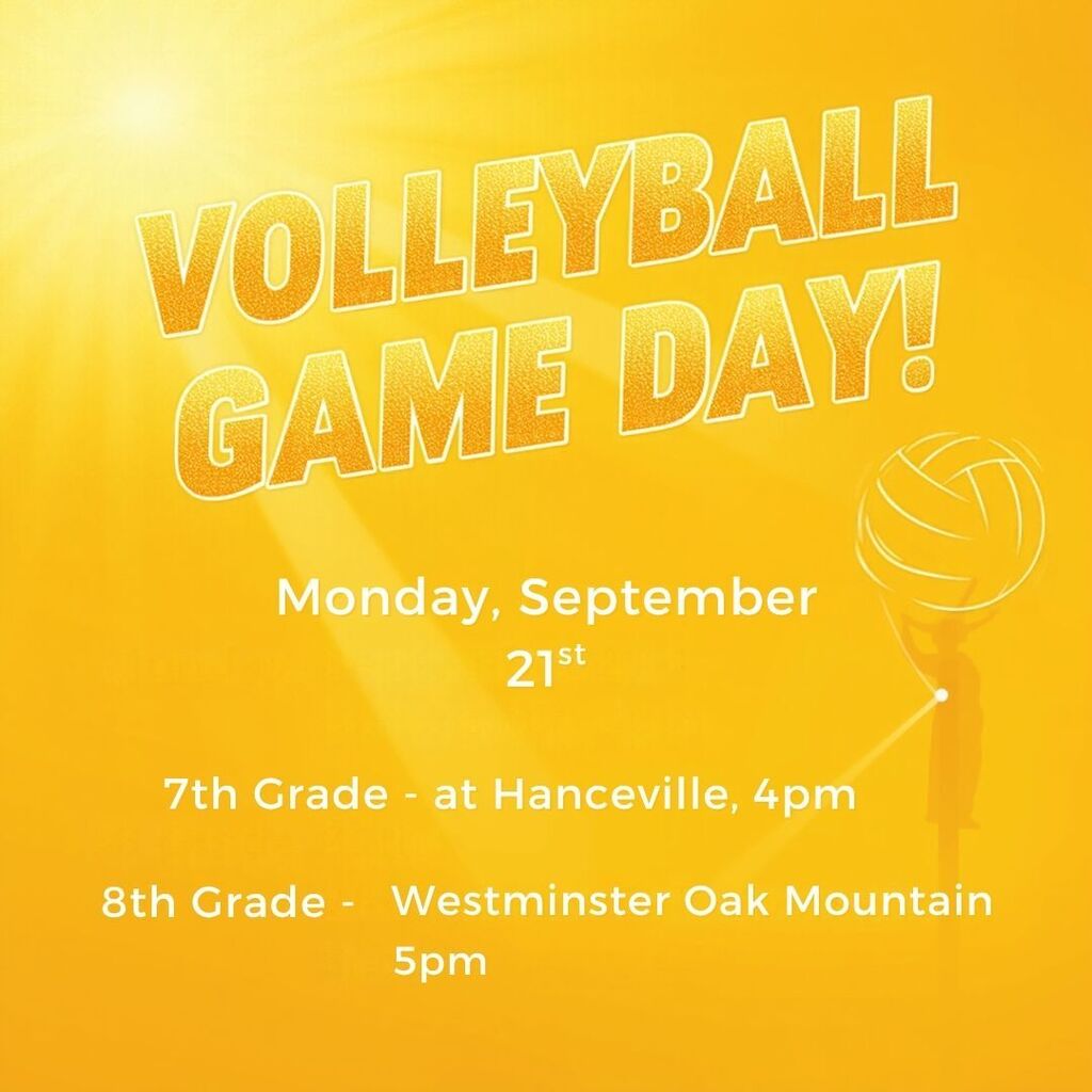Volleyball game day
