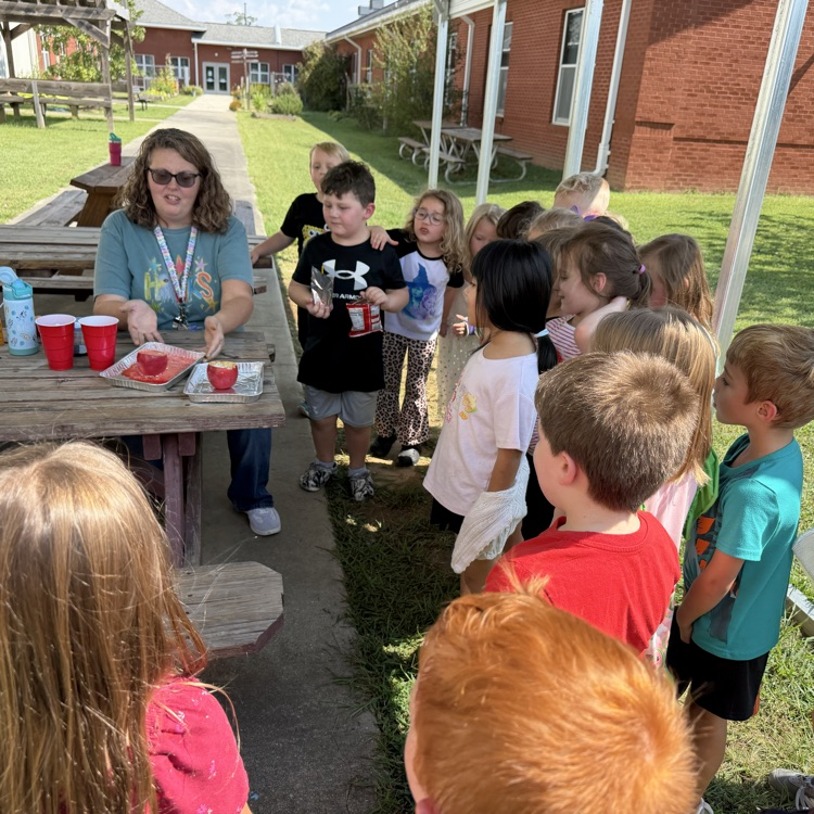 kindergarten Apple