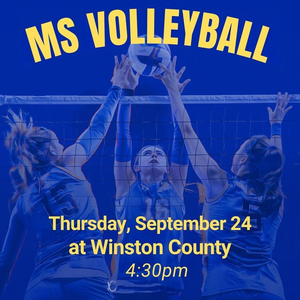 Volleyball game 