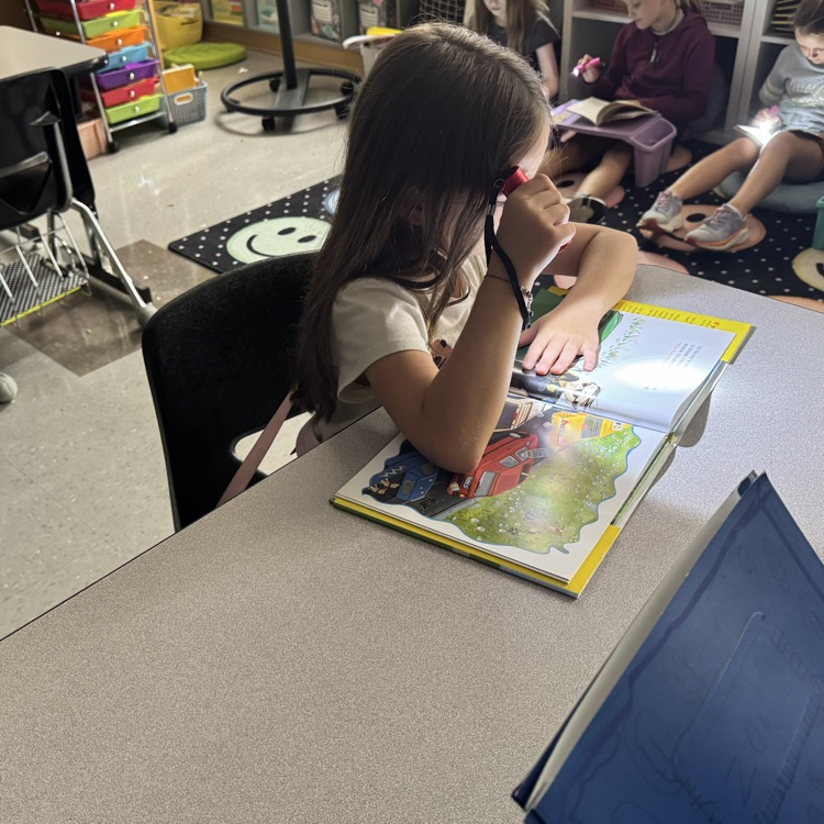 flashlight reading
