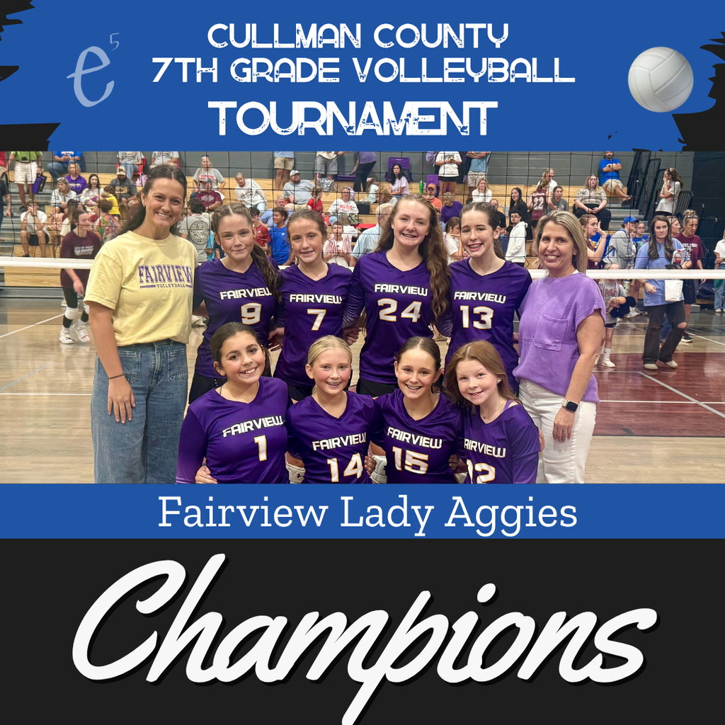 Volleyball team in purple jerseys, numbers 7, 14, 15, 16, 24, 13, and 12, with coaches and crowd.