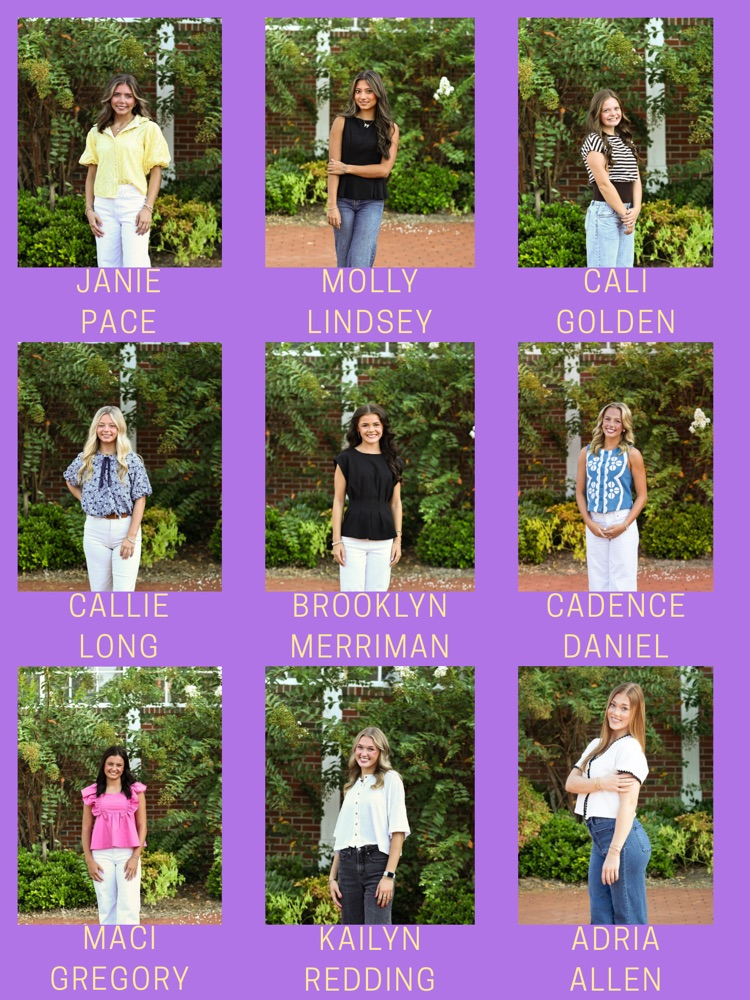 hoco court 